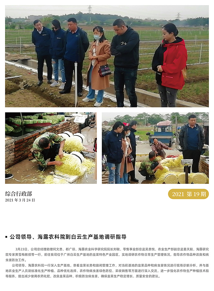 XPJ(中国大陆)有限公司官网