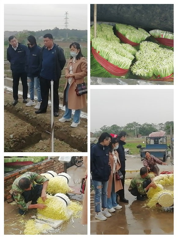 XPJ(中国大陆)有限公司官网