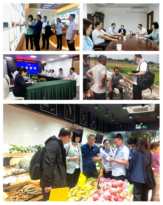 XPJ(中国大陆)有限公司官网