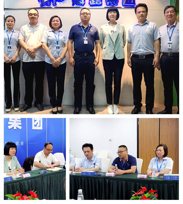 XPJ(中国大陆)有限公司官网