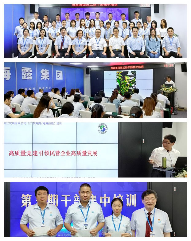 XPJ(中国大陆)有限公司官网