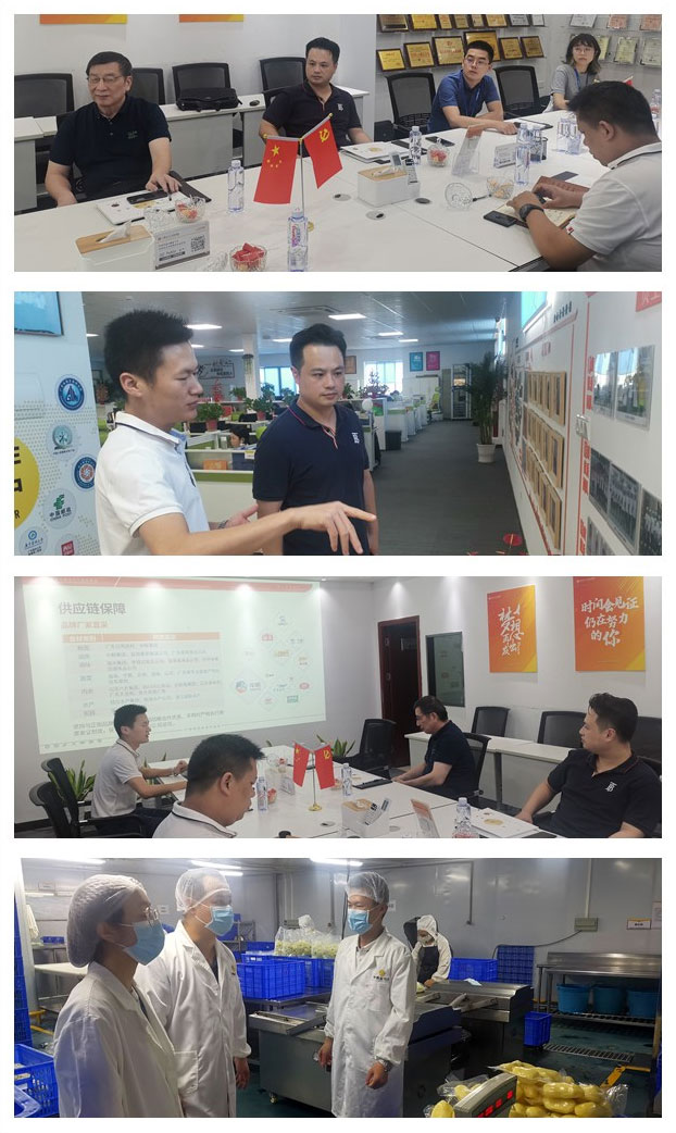 XPJ(中国大陆)有限公司官网