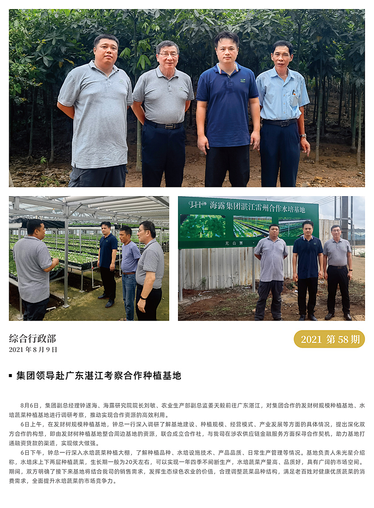 XPJ(中国大陆)有限公司官网