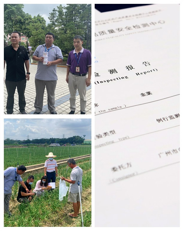 XPJ(中国大陆)有限公司官网