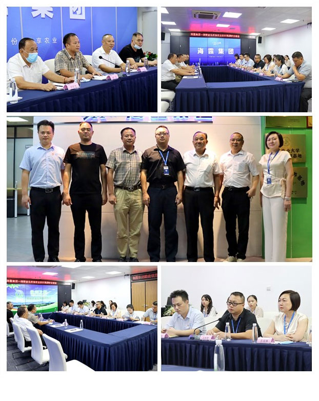 XPJ(中国大陆)有限公司官网