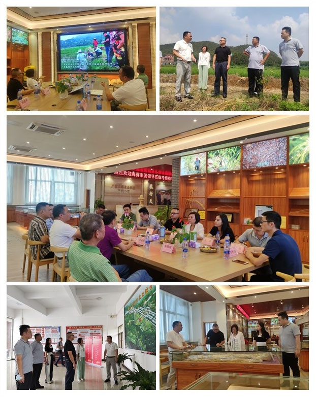 XPJ(中国大陆)有限公司官网