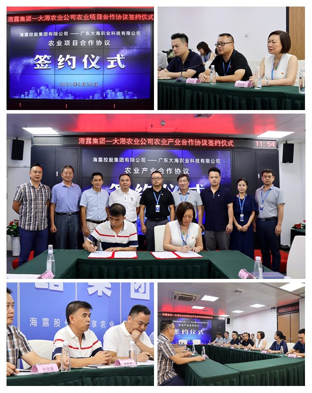 XPJ(中国大陆)有限公司官网