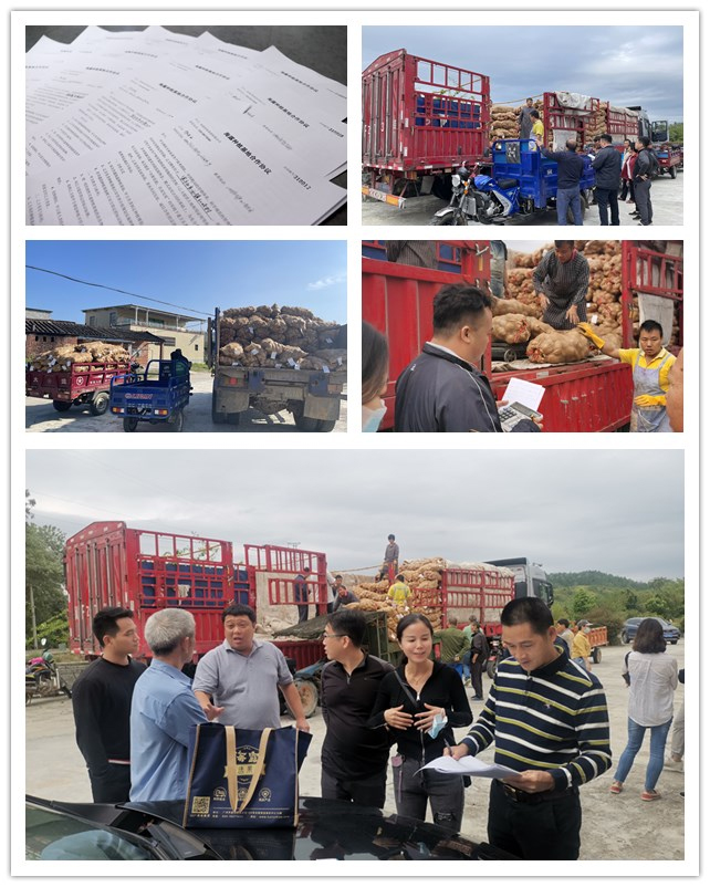 XPJ(中国大陆)有限公司官网