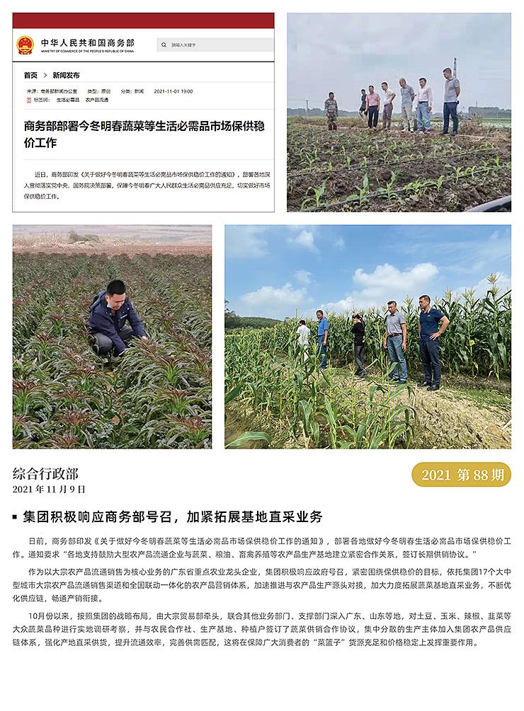 XPJ(中国大陆)有限公司官网