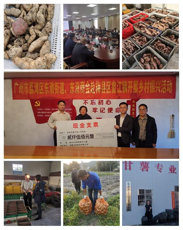 XPJ(中国大陆)有限公司官网