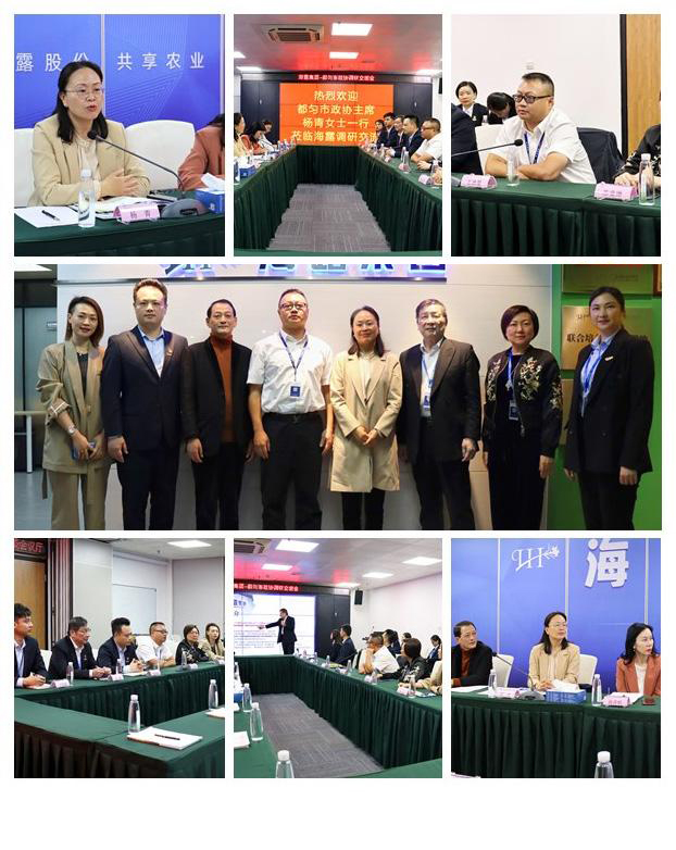 XPJ(中国大陆)有限公司官网