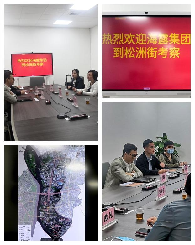 XPJ(中国大陆)有限公司官网