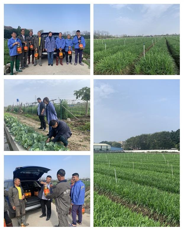 XPJ(中国大陆)有限公司官网