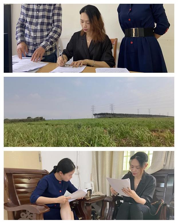 XPJ(中国大陆)有限公司官网