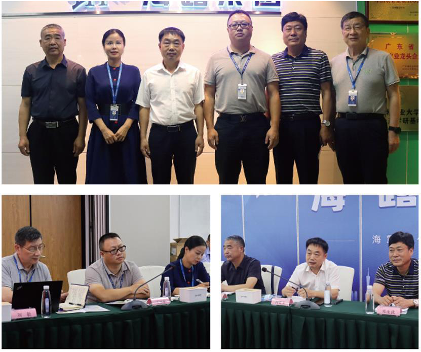 XPJ(中国大陆)有限公司官网