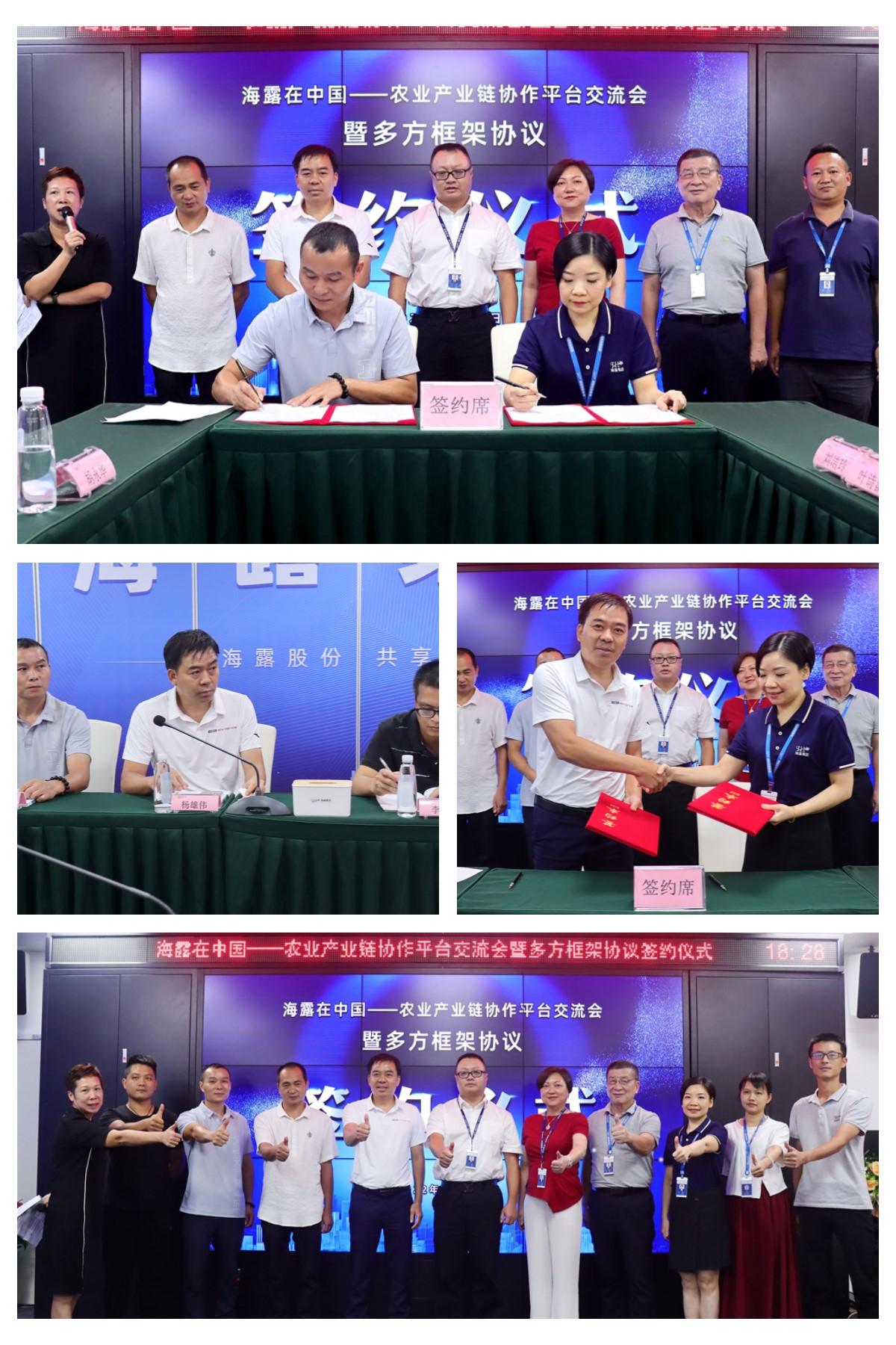 XPJ(中国大陆)有限公司官网