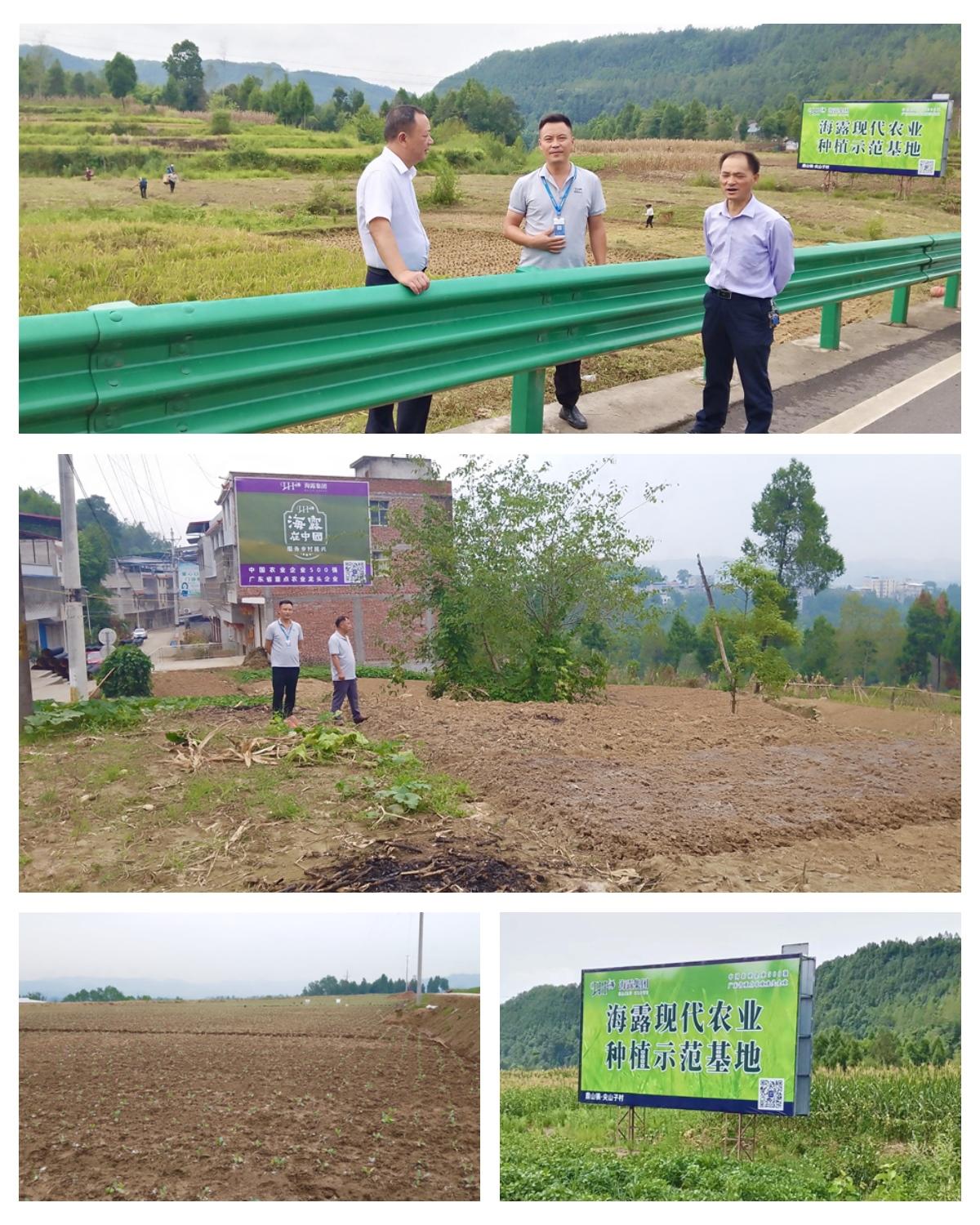 XPJ(中国大陆)有限公司官网