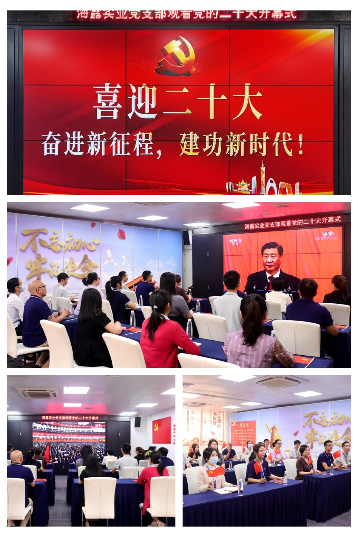 XPJ(中国大陆)有限公司官网