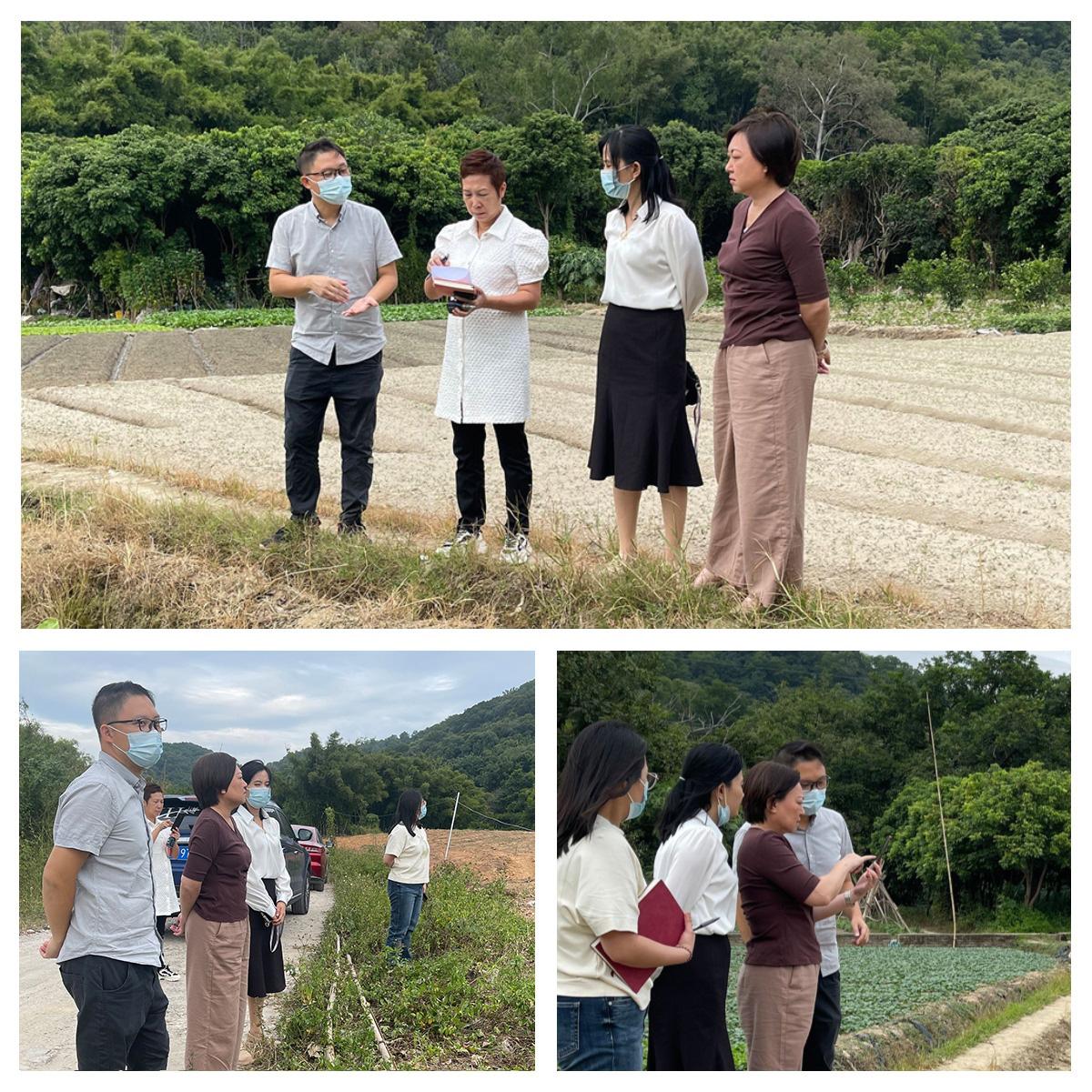 XPJ(中国大陆)有限公司官网