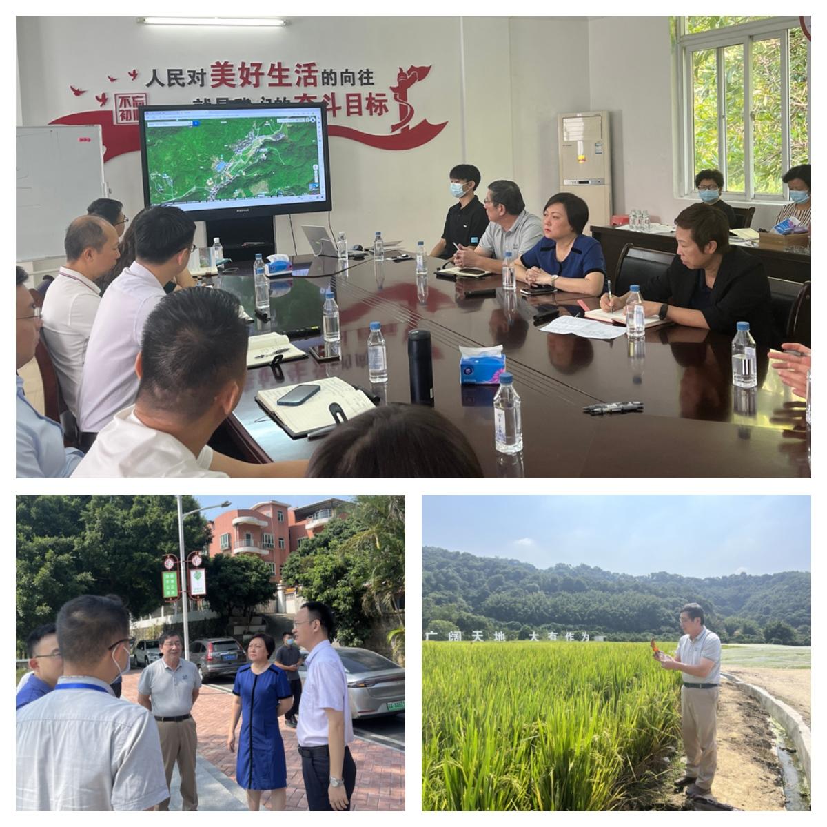 XPJ(中国大陆)有限公司官网