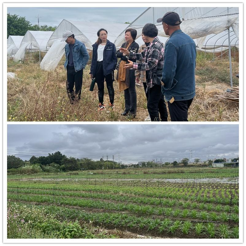 XPJ(中国大陆)有限公司官网