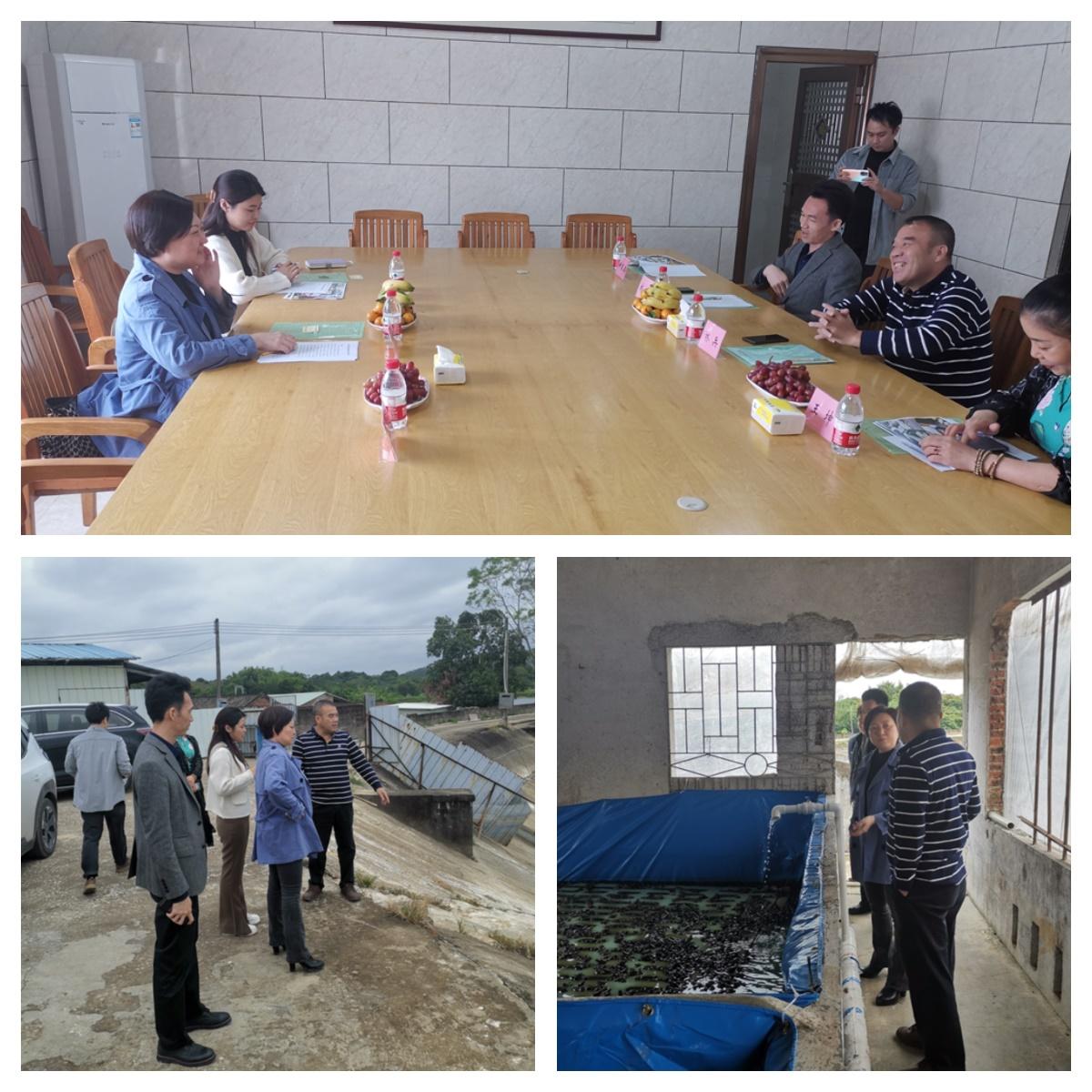 XPJ(中国大陆)有限公司官网