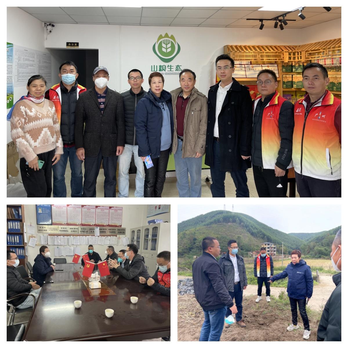 XPJ(中国大陆)有限公司官网