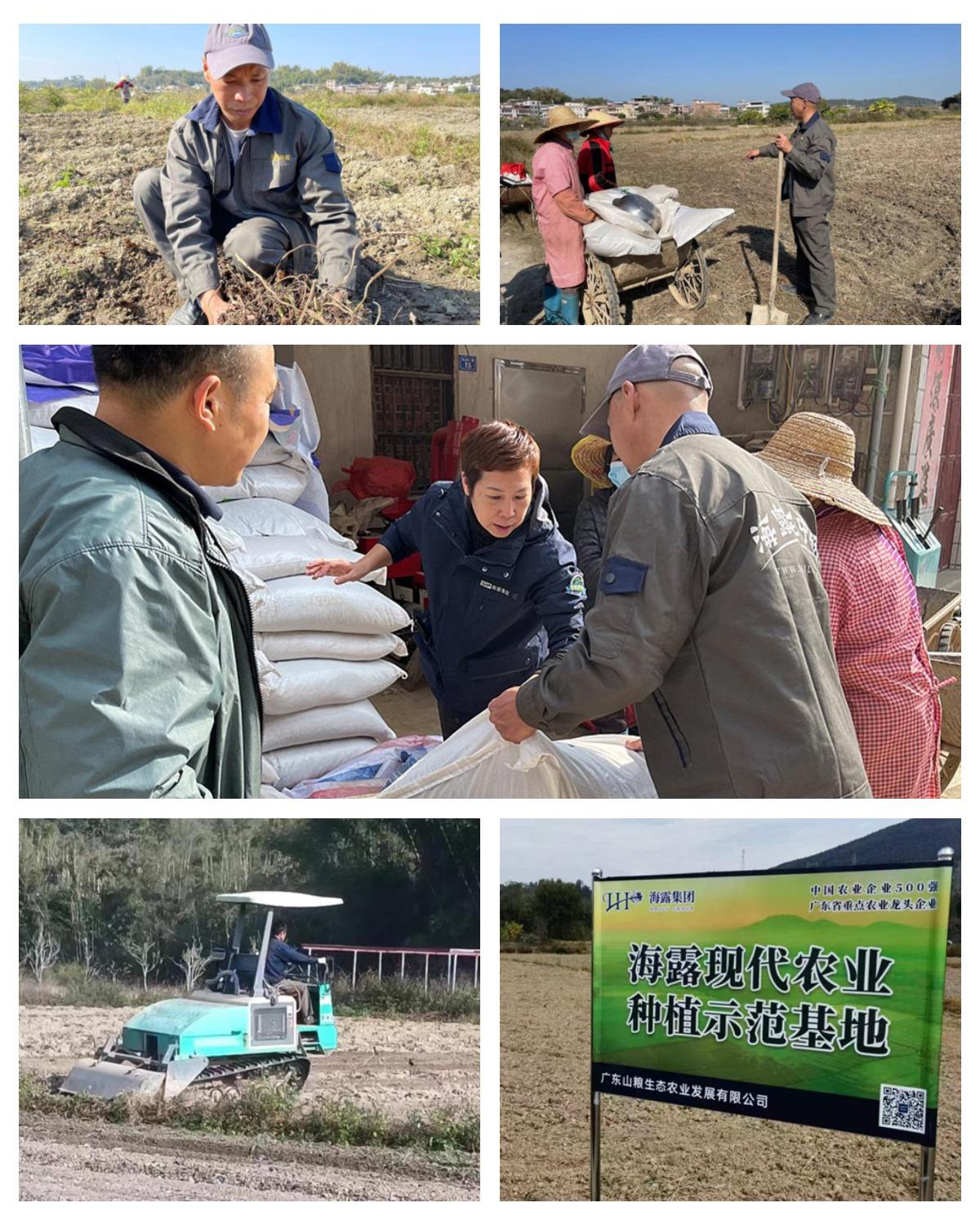 XPJ(中国大陆)有限公司官网