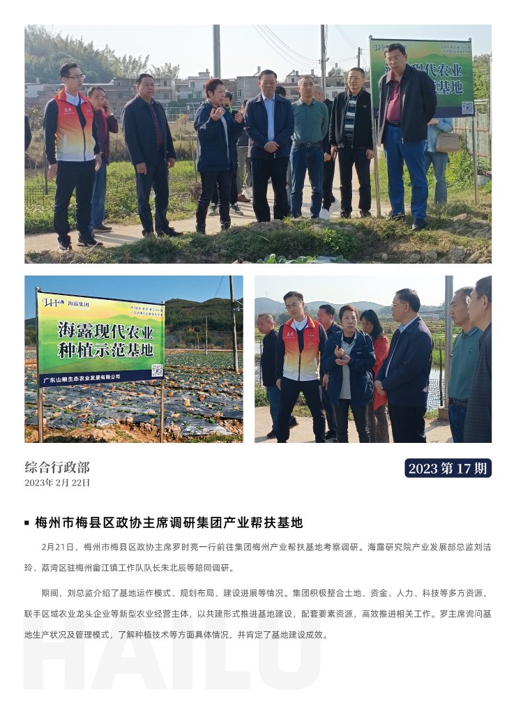 XPJ(中国大陆)有限公司官网