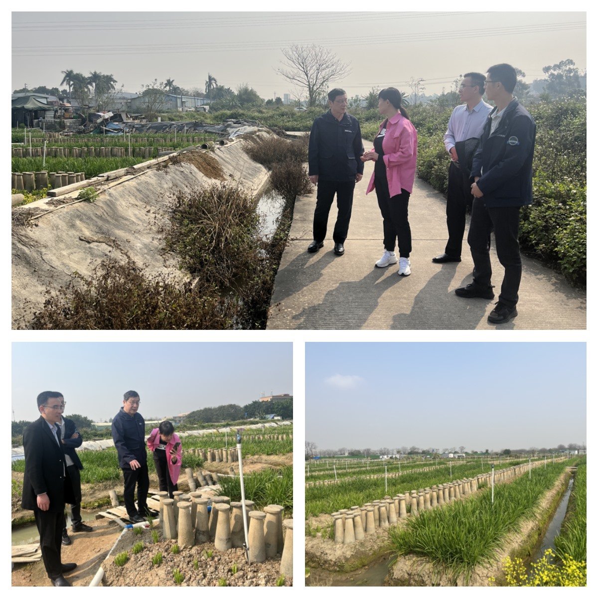 XPJ(中国大陆)有限公司官网