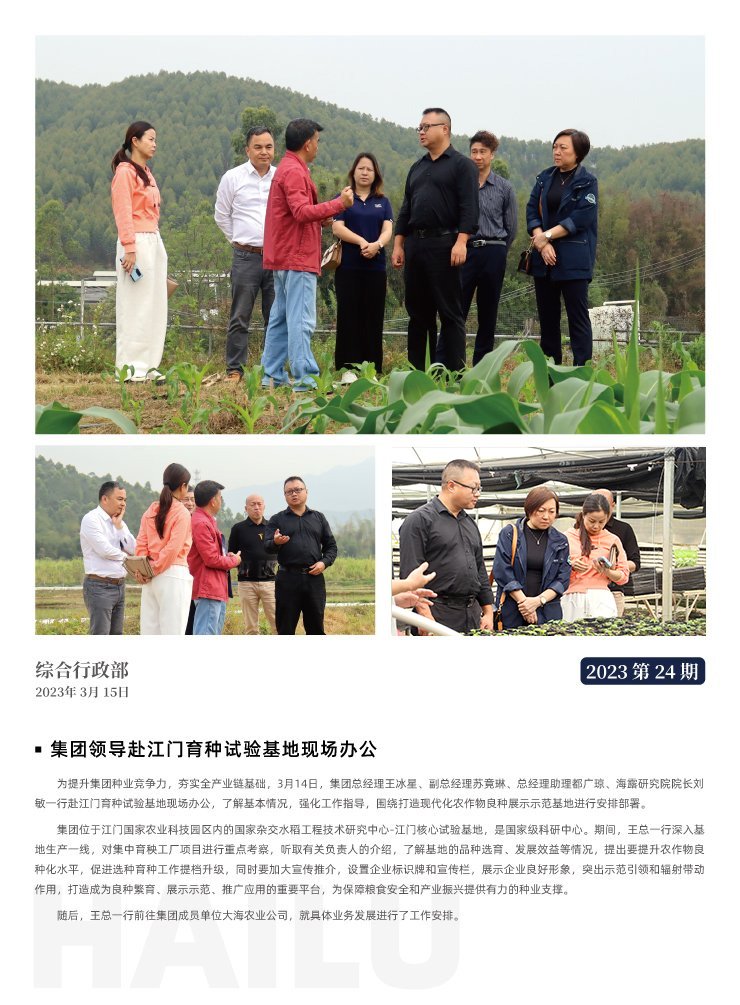 XPJ(中国大陆)有限公司官网