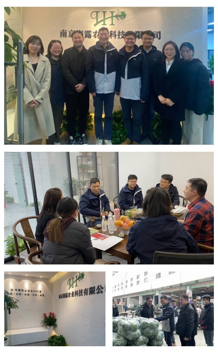 XPJ(中国大陆)有限公司官网