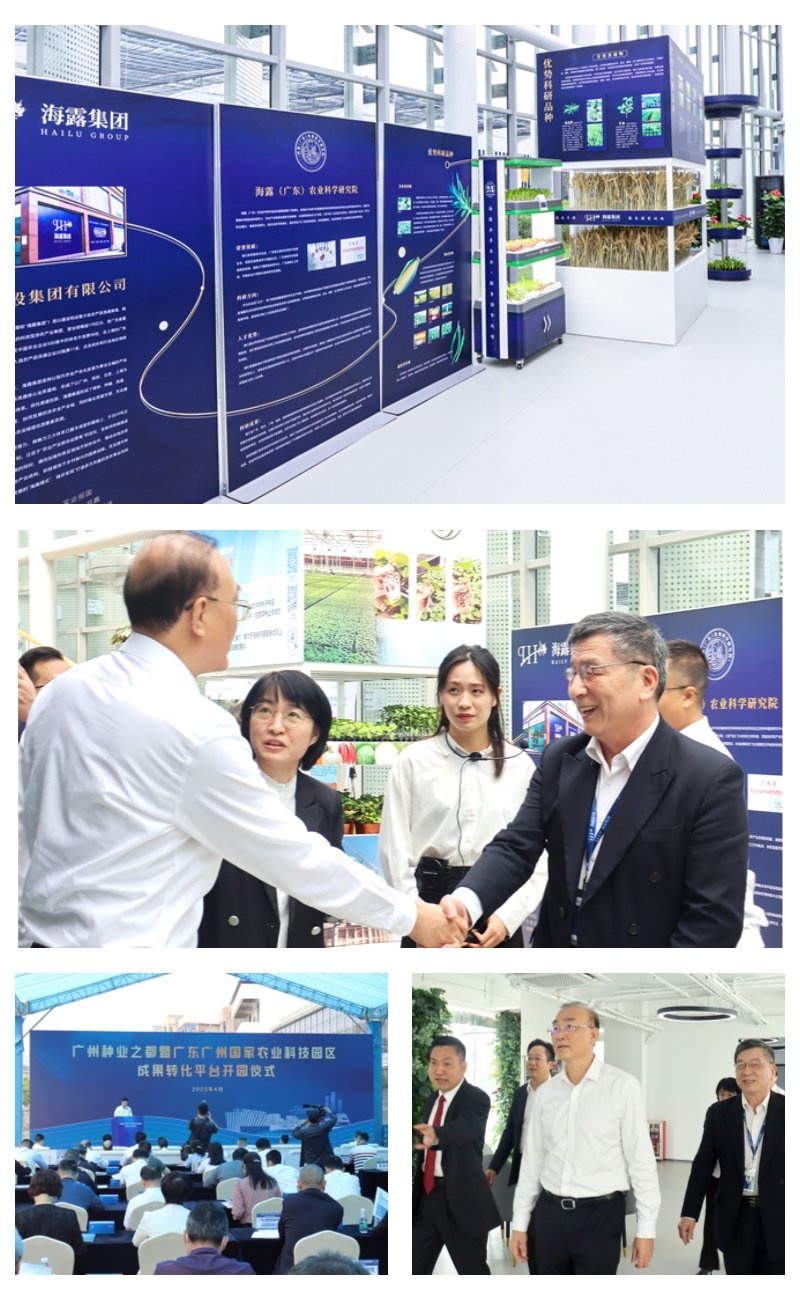 XPJ(中国大陆)有限公司官网