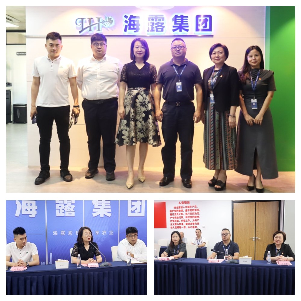 XPJ(中国大陆)有限公司官网