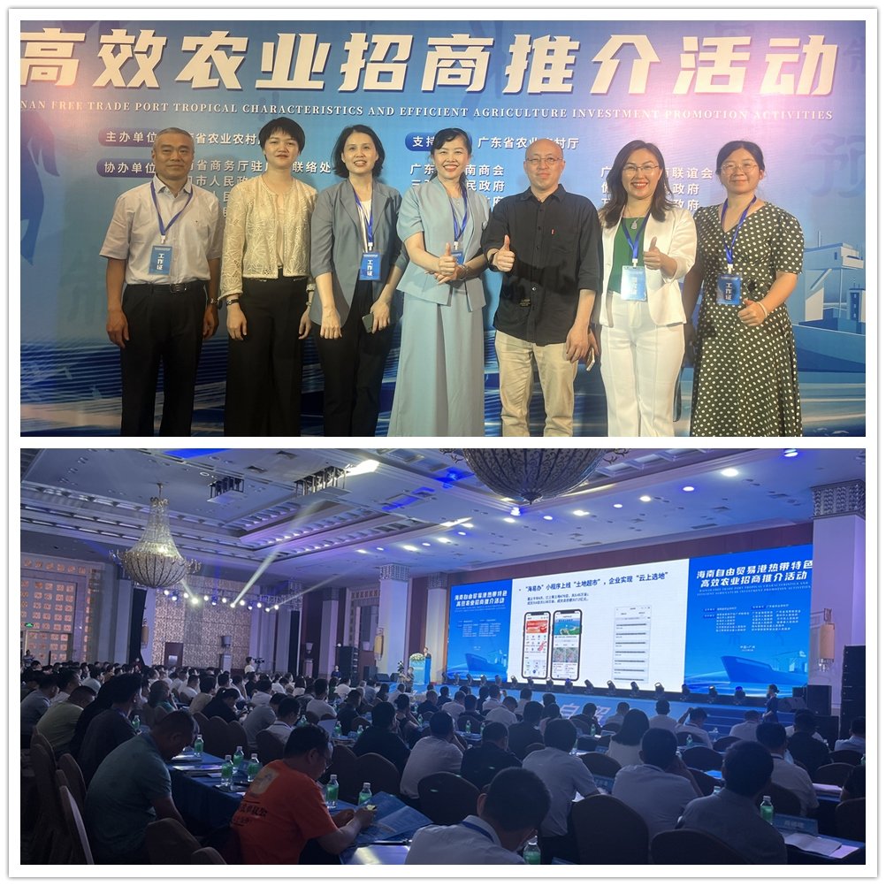 XPJ(中国大陆)有限公司官网