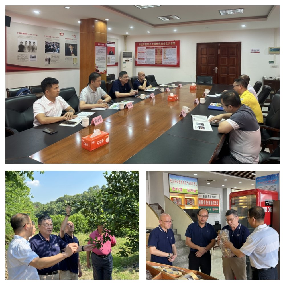 XPJ(中国大陆)有限公司官网