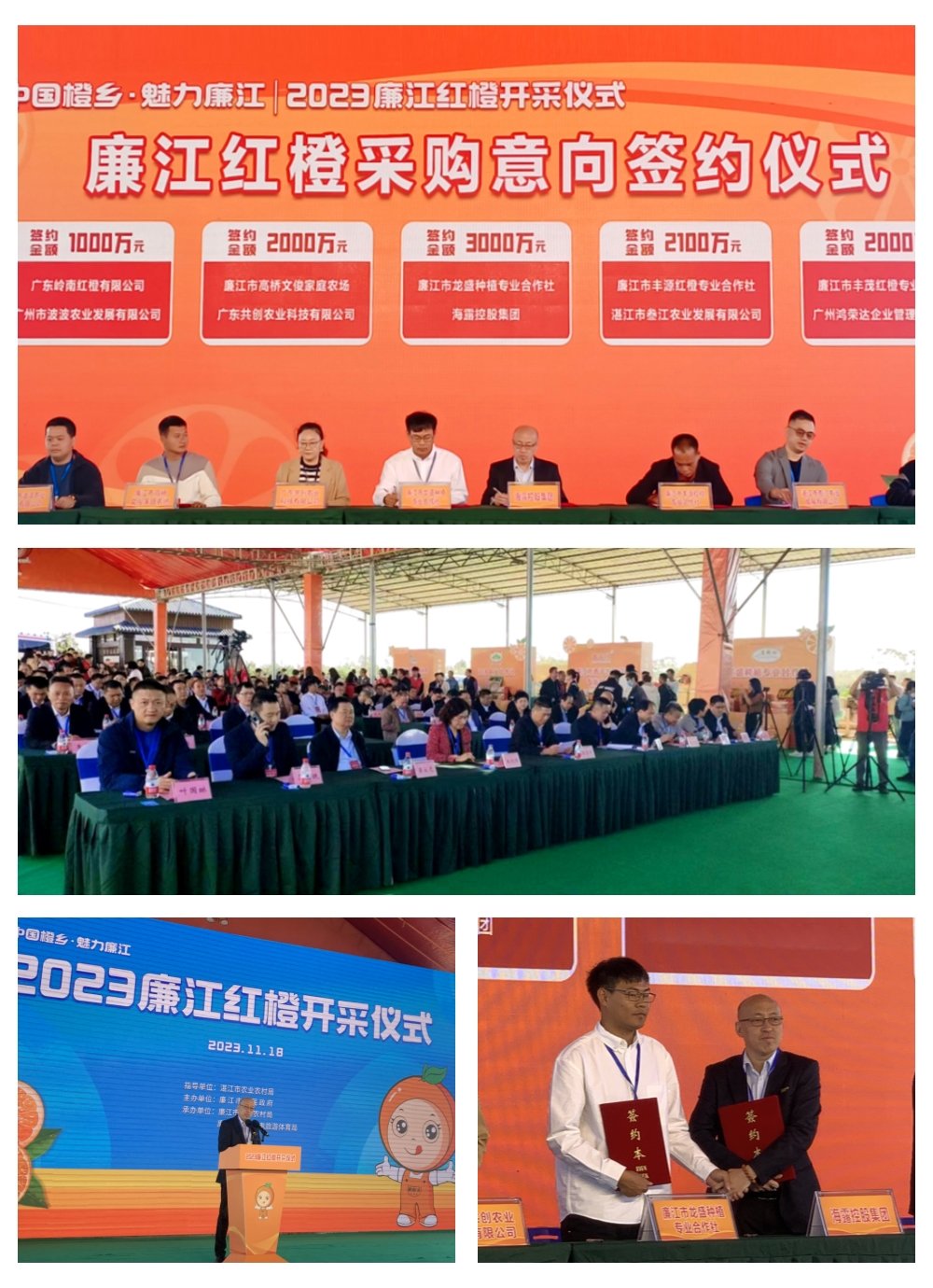 XPJ(中国大陆)有限公司官网