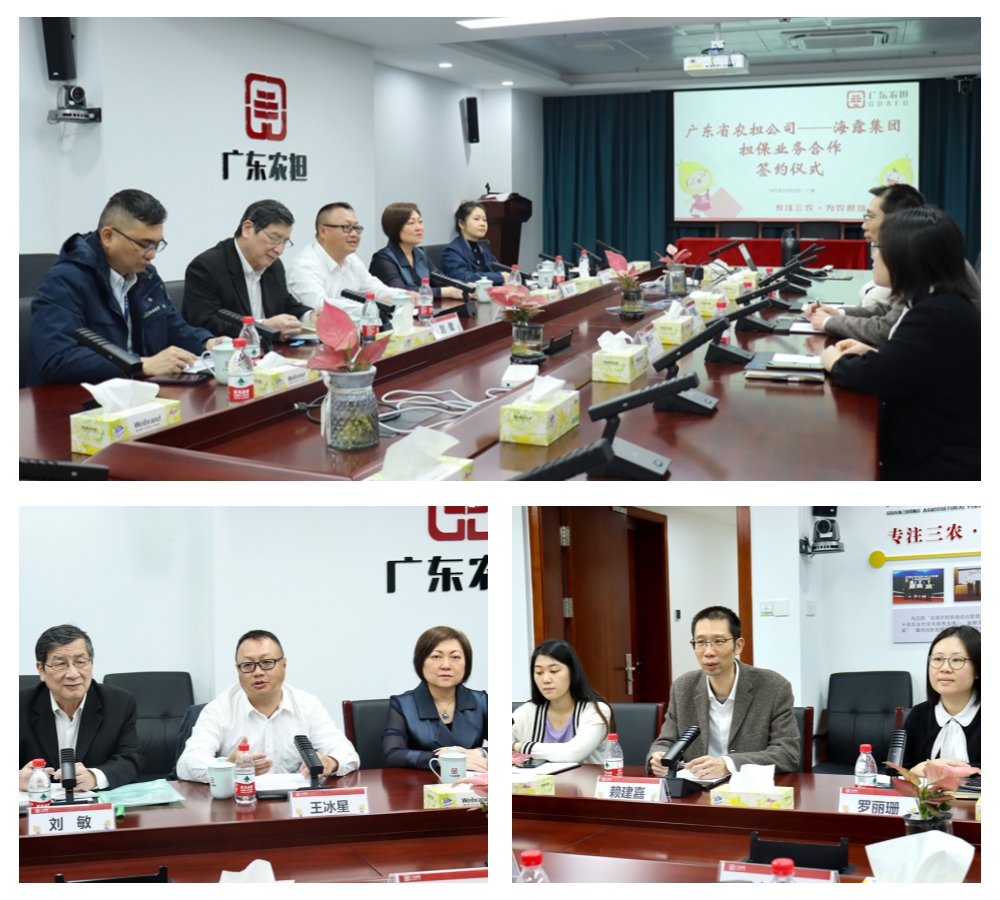 XPJ(中国大陆)有限公司官网