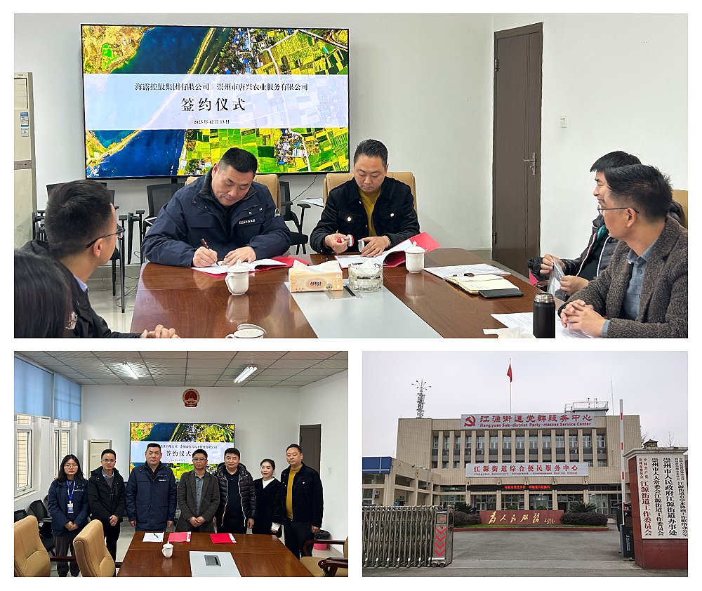 XPJ(中国大陆)有限公司官网