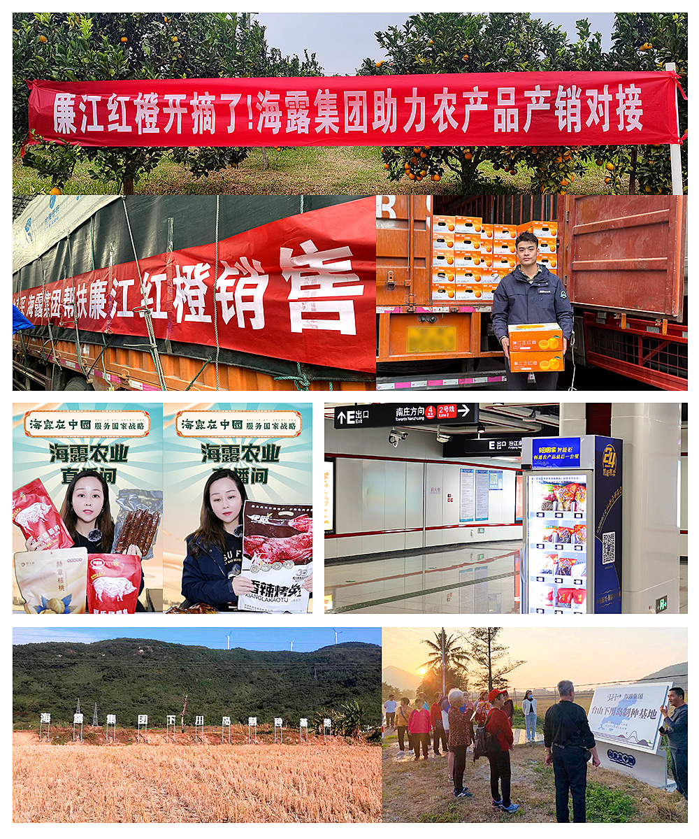 XPJ(中国大陆)有限公司官网