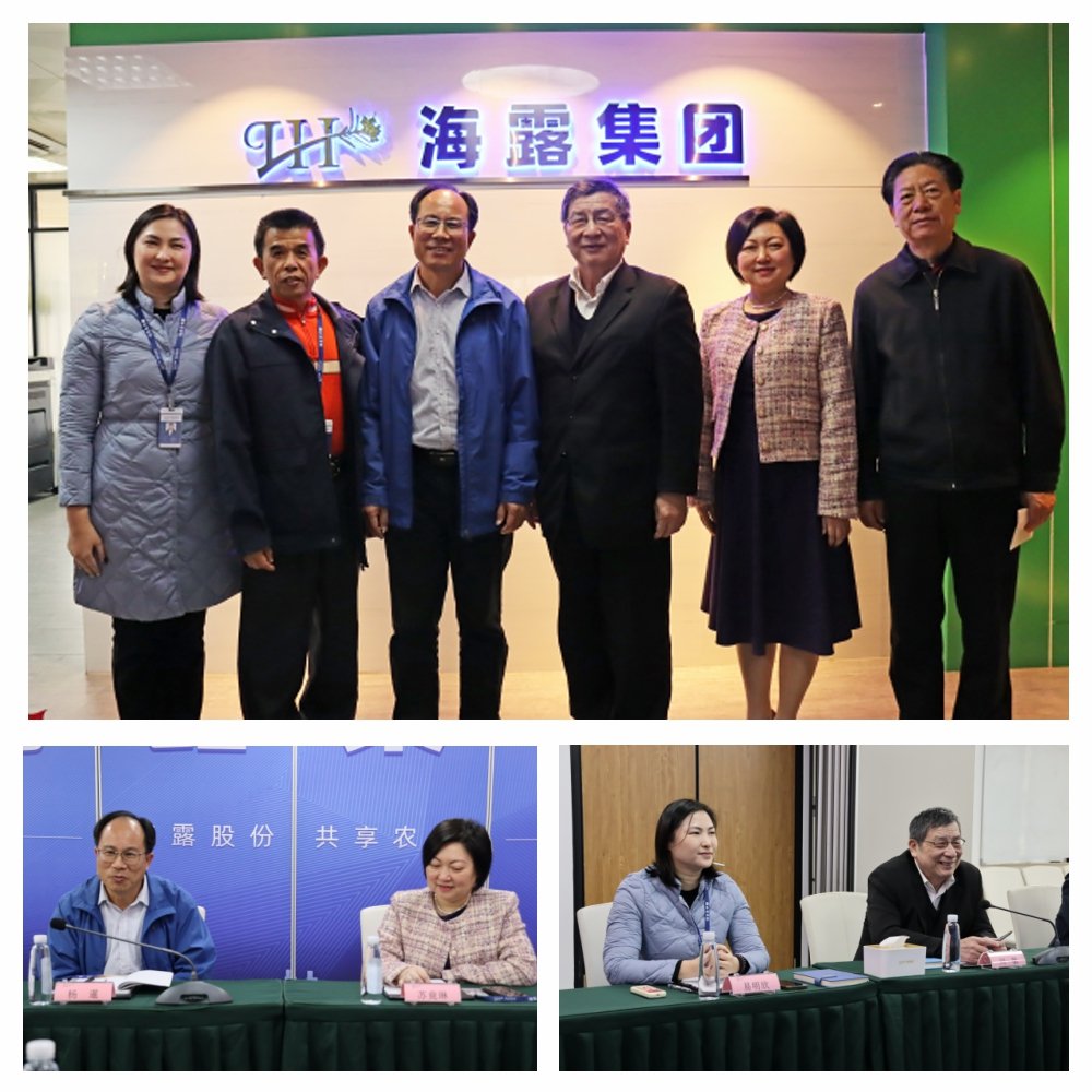 XPJ(中国大陆)有限公司官网