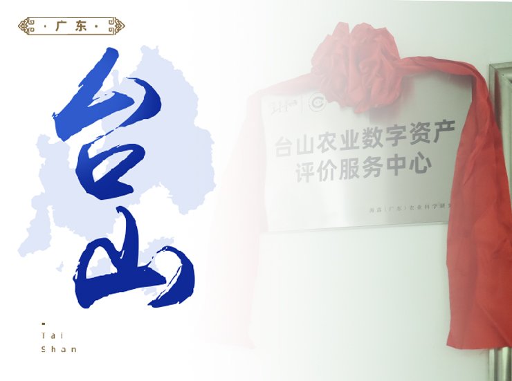 XPJ(中国大陆)有限公司官网