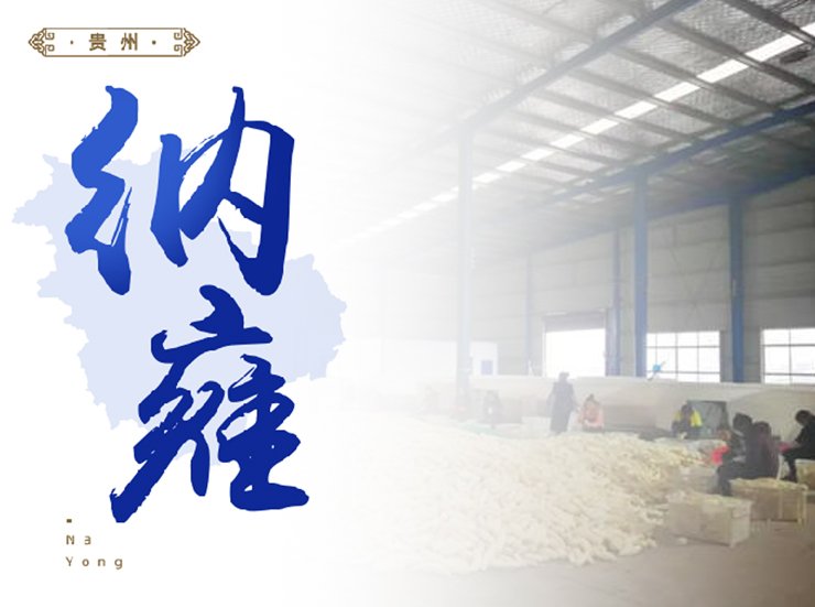 XPJ(中国大陆)有限公司官网