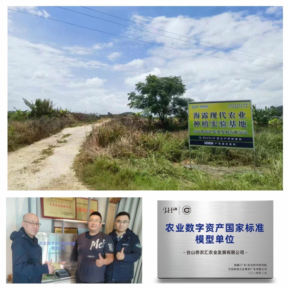 XPJ(中国大陆)有限公司官网