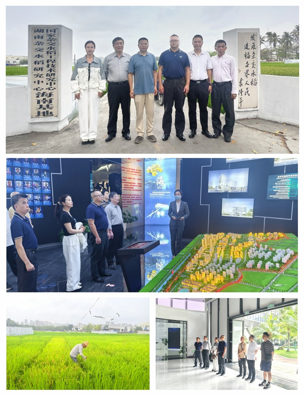 XPJ(中国大陆)有限公司官网