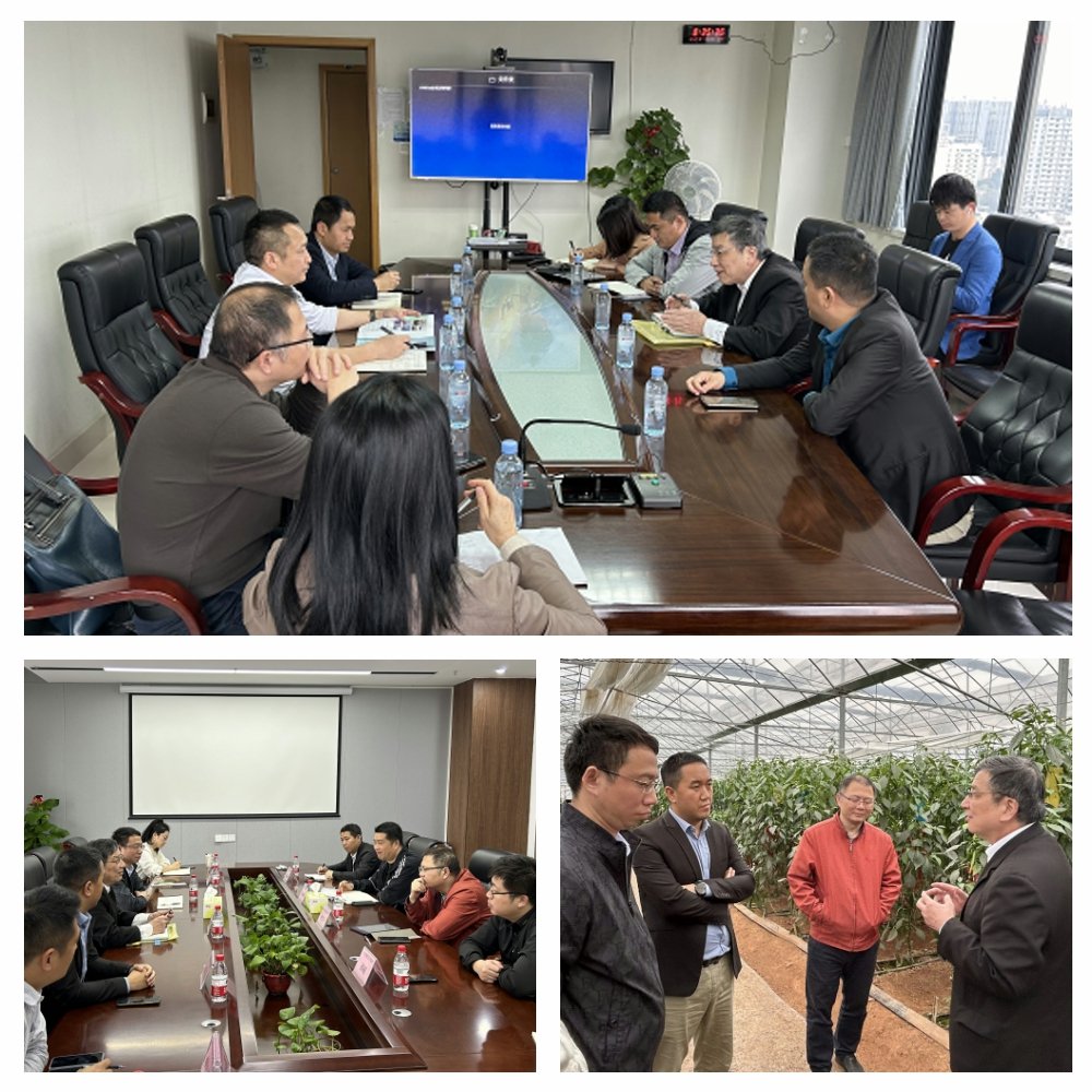 XPJ(中国大陆)有限公司官网