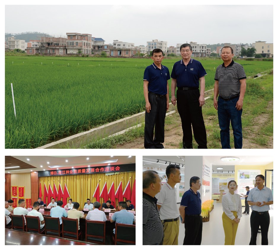 XPJ(中国大陆)有限公司官网