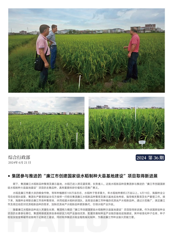 XPJ(中国大陆)有限公司官网