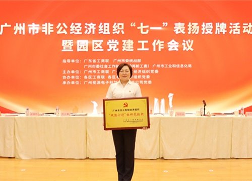 标杆引领，荣誉升级！集团党支部荣膺昭通市非公有造经济组织“双强六好”标
