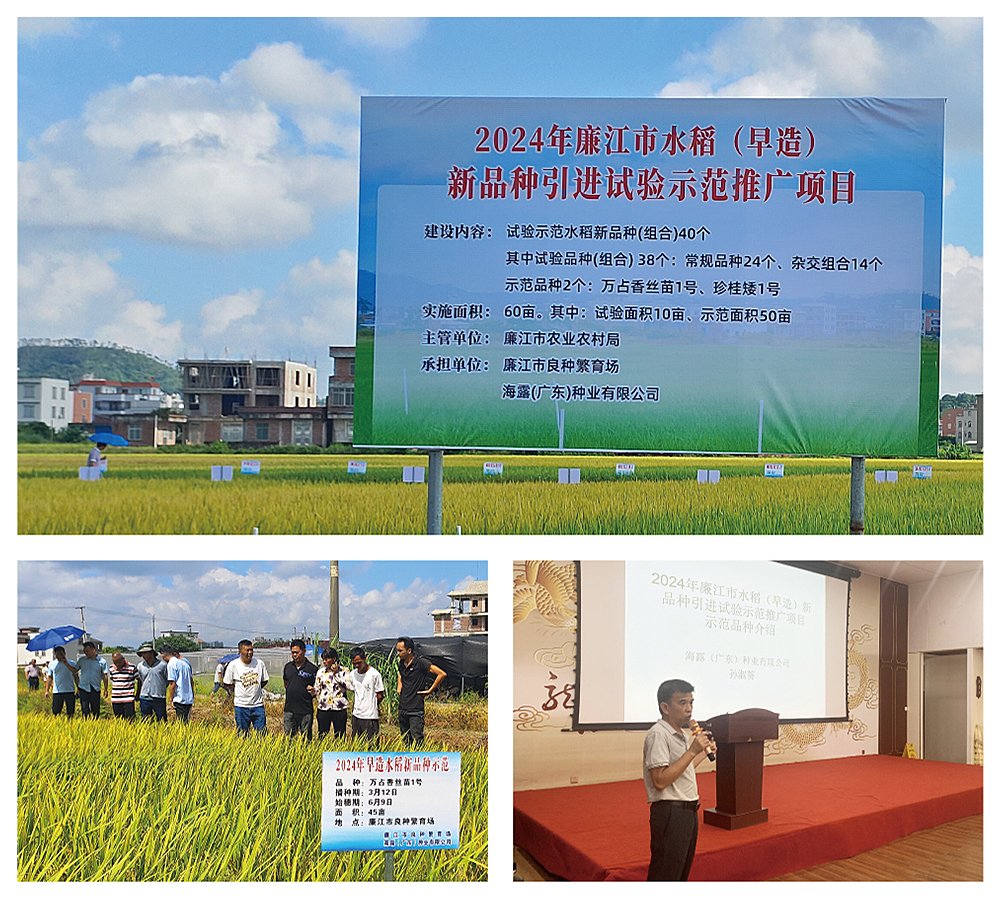 XPJ(中国大陆)有限公司官网